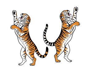 . Hand drawn aggressive tigers standing on hind legs.  Graphic  sketch. Isolated animals on a white background. Vector illustration..