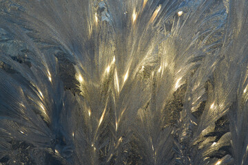 Ice pattern on glass illuminated by the sun