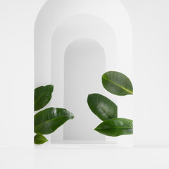 White fashion decorative frames as antique rounded arches with tropical green leaves as abstract scene mockup for presentation cosmetic, showing, design, advertising in modern simple style, square.