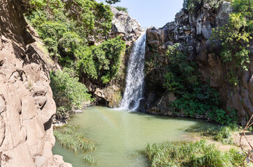 Mountain  Saar Falls with cold and crystal clear water descends from a crevice in the mountains of the Golan Heights in Israel.