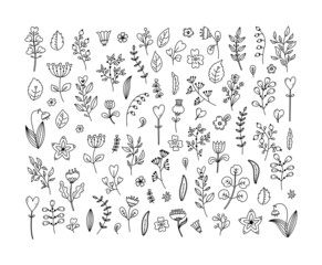 Vector set of illustrations of fantasy plants and flowers for Valentine's