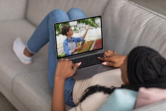 Unrecognizable African American woman using laptop to watch gardening or organic agriculture tutorial online at home - Powered by Adobe