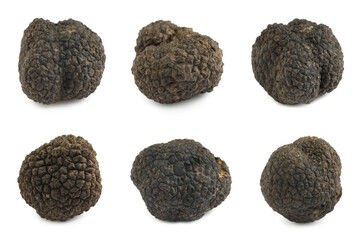 Set with expensive delicious black truffles on white background