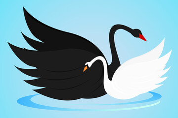Fototapeta premium cute couple of swans black and white. Vector illustration in a flat style