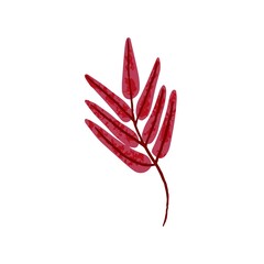 Autumn tree leaf. Dry red October fall leaves. Abstract modern botanical drawing of autumnal foliage. Nature clip art. Colored flat vector illustration isolated on white background