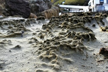 海岸波色甌穴群
