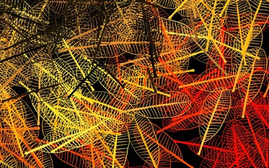 Dark Red vector doodle background with flowers, leaves.