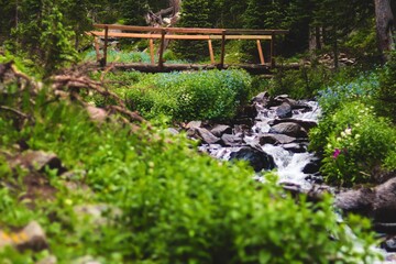 Obraz premium old stone bridge