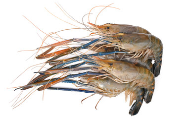 Pile of Raw giant freshwater prawn, giant river shrimp on white background. Top view