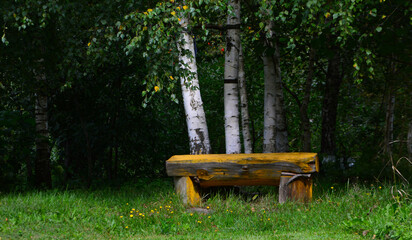 bench in the park