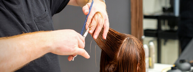 Naklejka premium Woman having a new haircut. Male hairstylist cutting brown hair with scissors in a hair salon