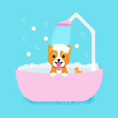 Dog grooming bath, great design for any purposes. Beauty concept. Adorable pet. Pet wash, groomin