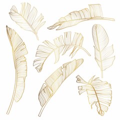 Golden tropical bananas leaves set on white background. Elegant exotic decoration for cosmetics, spa, perfume, health care products, tourist agency, summer party invitation, aroma.