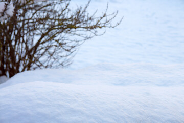 Fototapeta na wymiar Winter background with tree branch and snow.