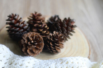 Wooden tray with pine cones and soft knitted blanket. Hygge at home. Selective focus.