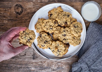 Enjoying a home made oatmeal chocolate chipcookie from the plate and with a glass of milk. - 476624374