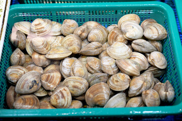 Seafood at the fish market in Korea