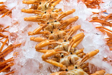 Seafood at the fish market in Korea