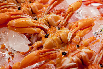 Seafood at the fish market in Korea
