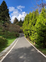road in the mountains
@ 阿里山 (alishan)