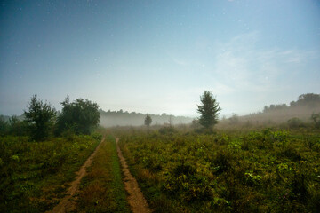 Obraz premium Moony night forest in the night . Night landscape. Nightsky and clouds . Stars in the sky . Lights of the city . 