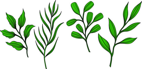 Illustration of abstract leaf. Line vector art