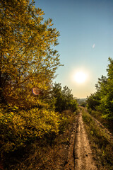 Fototapeta premium sunset on the road