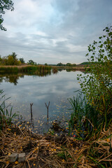 reflection of trees in water
