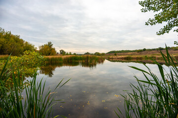 landscape with lake