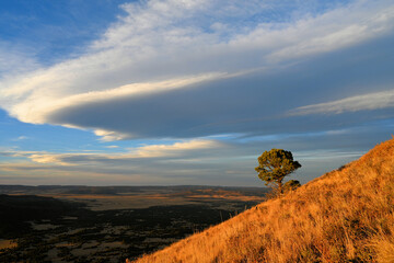 Nature at Volcano park in New Mexico
