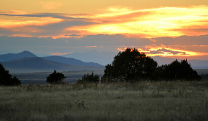 Nature at Volcano park in New Mexico