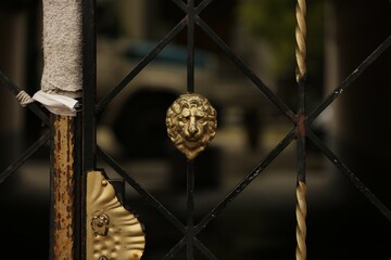 beautiful wrought iron gates, the head of a lion