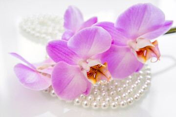 Fototapeta na wymiar pearl and purple orchid on a white glas 