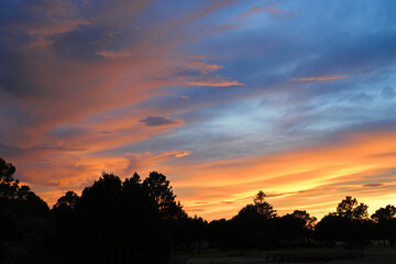 Nature at Volcano park in New Mexico
