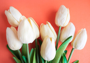 White tulips on orange background, close up, selective focus