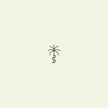 Palm logo for your design. Palm tree. Palm vector illustration. Palm and snake.