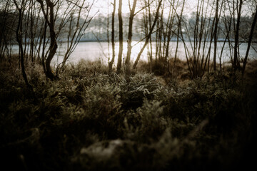 Oldenburg, See, Winter