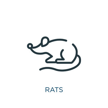 rats thin line icon. rat, pig linear icons from signs concept isolated outline sign. Vector illustration symbol element for web design and apps..