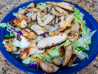 Grilled chicken salad on a blue plate