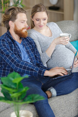 pregnant couple are relaxing on sofa using a laptop computer