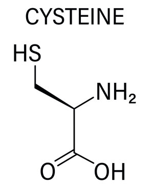 Cysteine or l-cysteine, Cys, C, amino acid molecule. Skeletal formula.