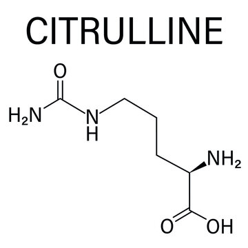 Citrulline amino acid molecule. Present in some athletic dietary supplements. Skeletal formula.