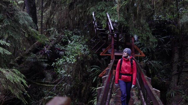 Tourist Walking Across Bridge In A Rainforest