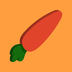 Carrot 3d. Vector 3d illustration isolated on white background.	