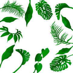 Fototapeta Ilustracja motyw roślinny zielone liście na białym tle obraz