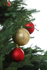 Beautiful Christmas tree with shiny baubles on white background, closeup