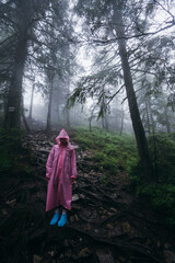Naklejka premium Young woman in a raincoat walks through the forest in the rain