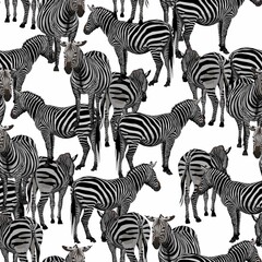 Tropical floral leaves, palm banana tree and exotic strelitzia flowers, zebra wildlife animal floral seamless pattern on white background. Exotic safari  wallpaper.