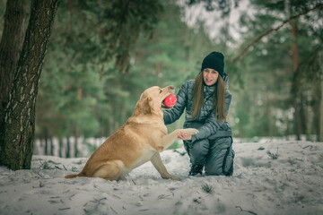 Young beautiful girl with a labrador retriever in the forest in winter.
