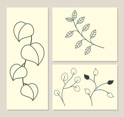 set of delicate leaves